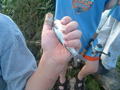 RA Camping 2007-08-24_17-57-08.jpg